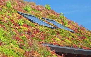 West Adderbury living roof systems